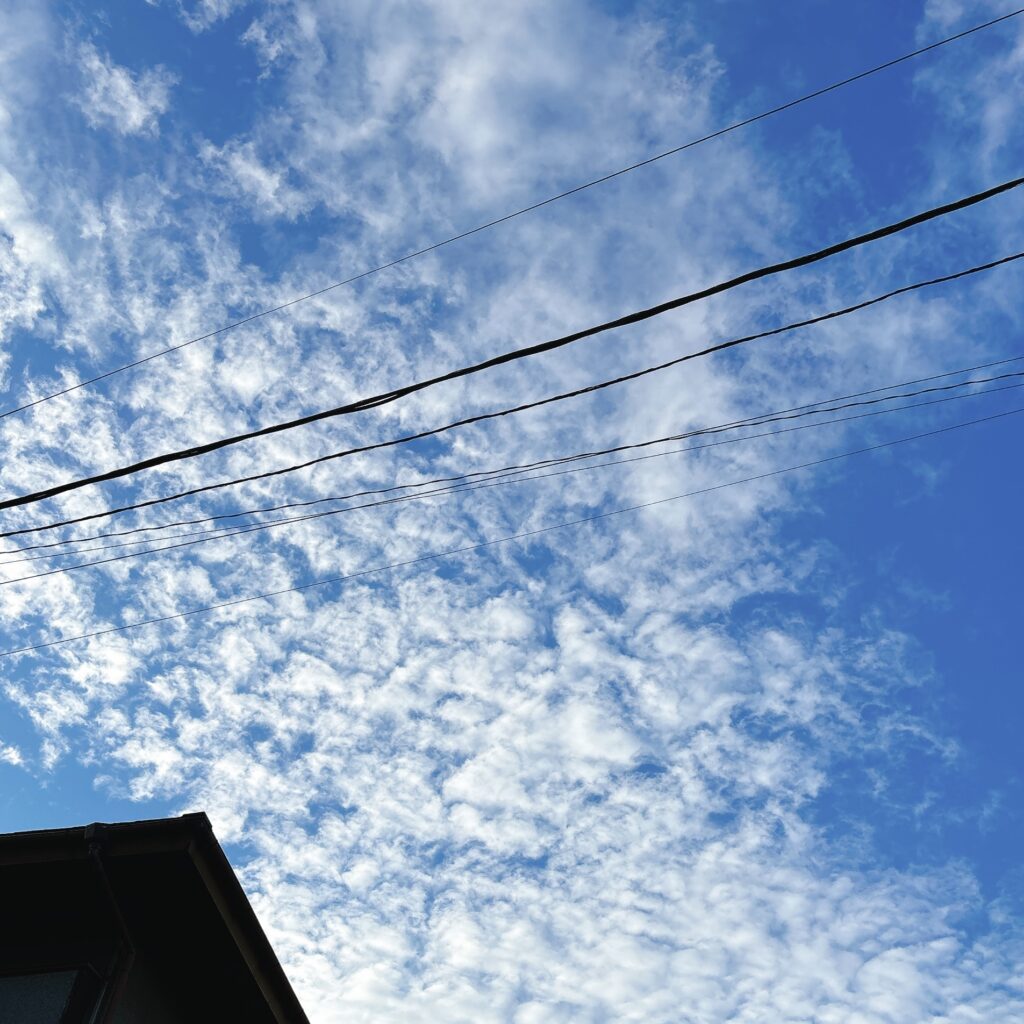 「どれがすき？」なら選べるよ