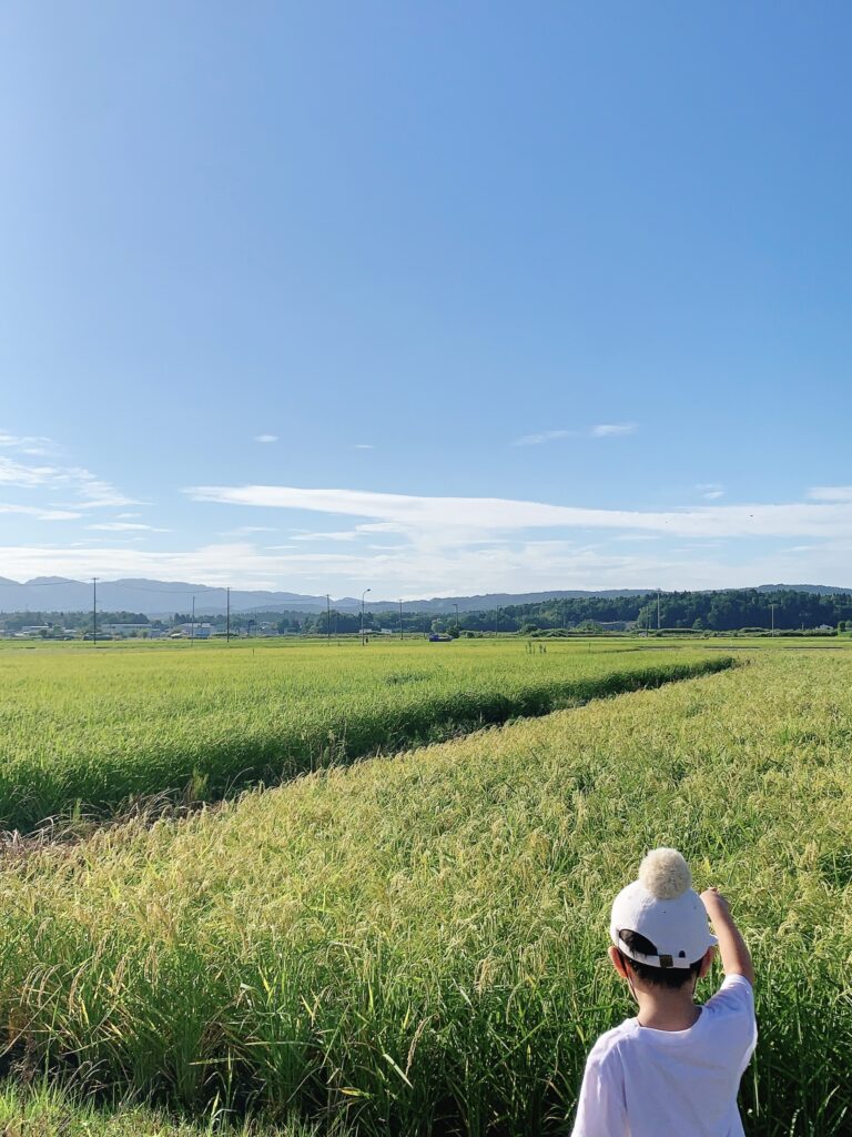 昭和の扇風機から