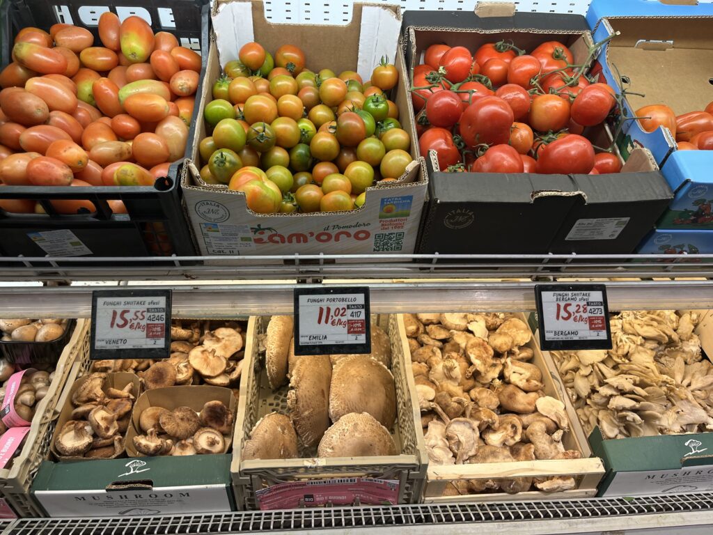 souvenir hunting