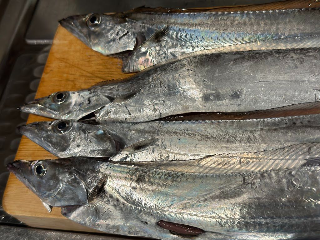 タチウオ釣り