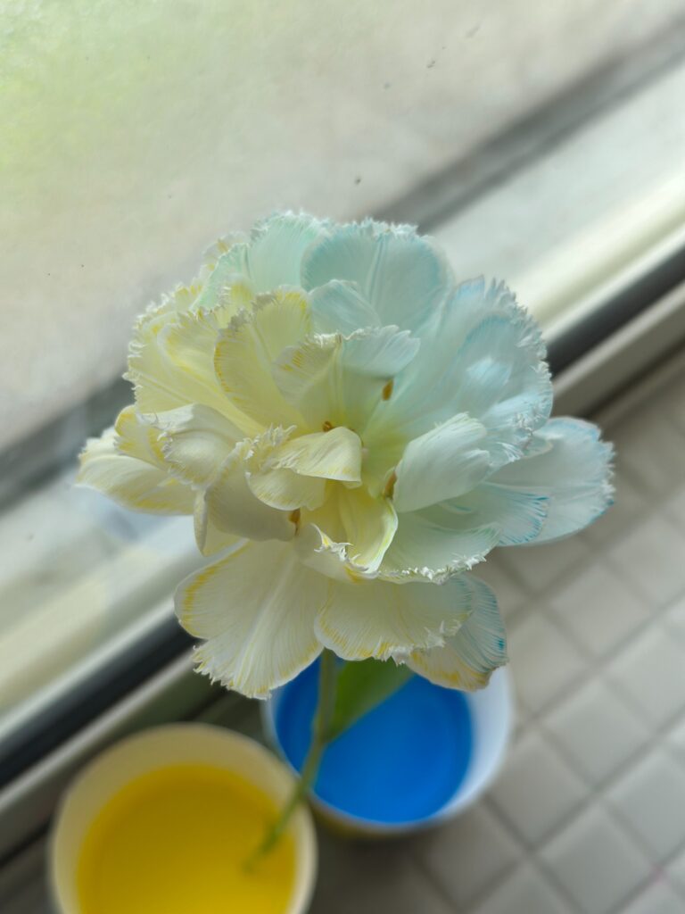 実験