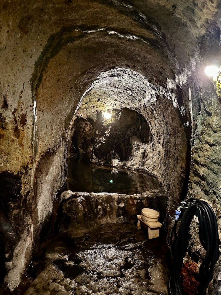 黒川温泉 山の宿新明館