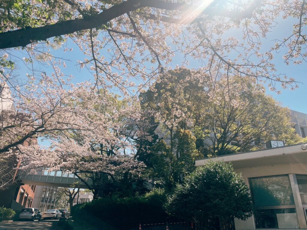 喋りっぱなしの1日