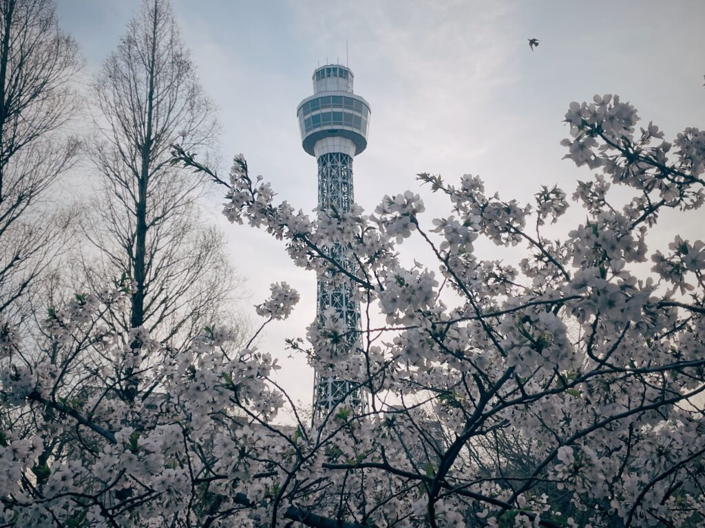 初めて船に乗る