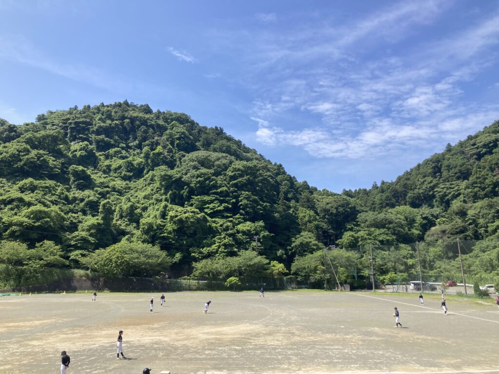 白球を追って