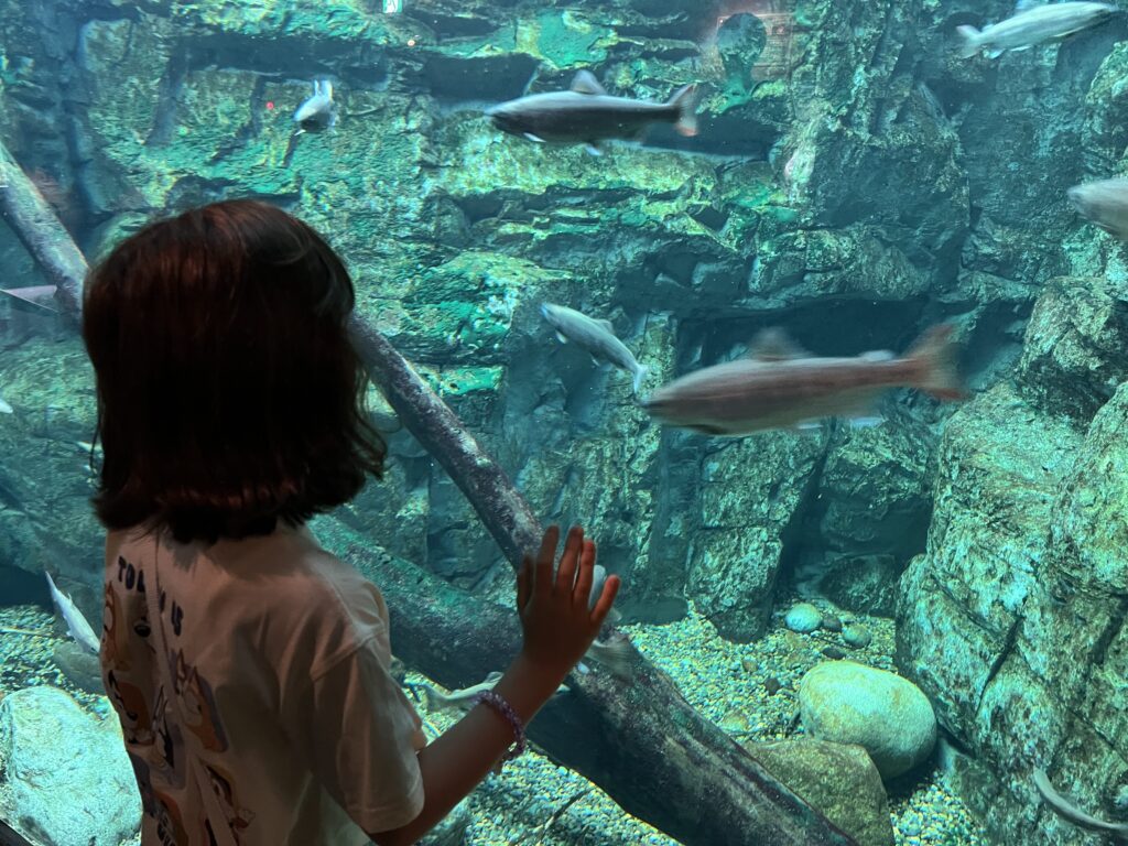 water magic behind the glass