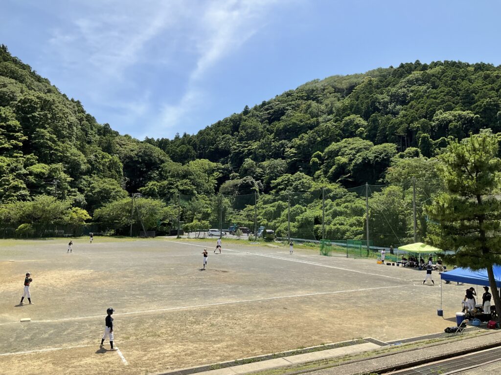 帰宅、そして野球のはしご