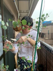 ゆったり剪定師