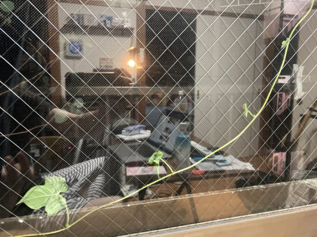 なにもできない日