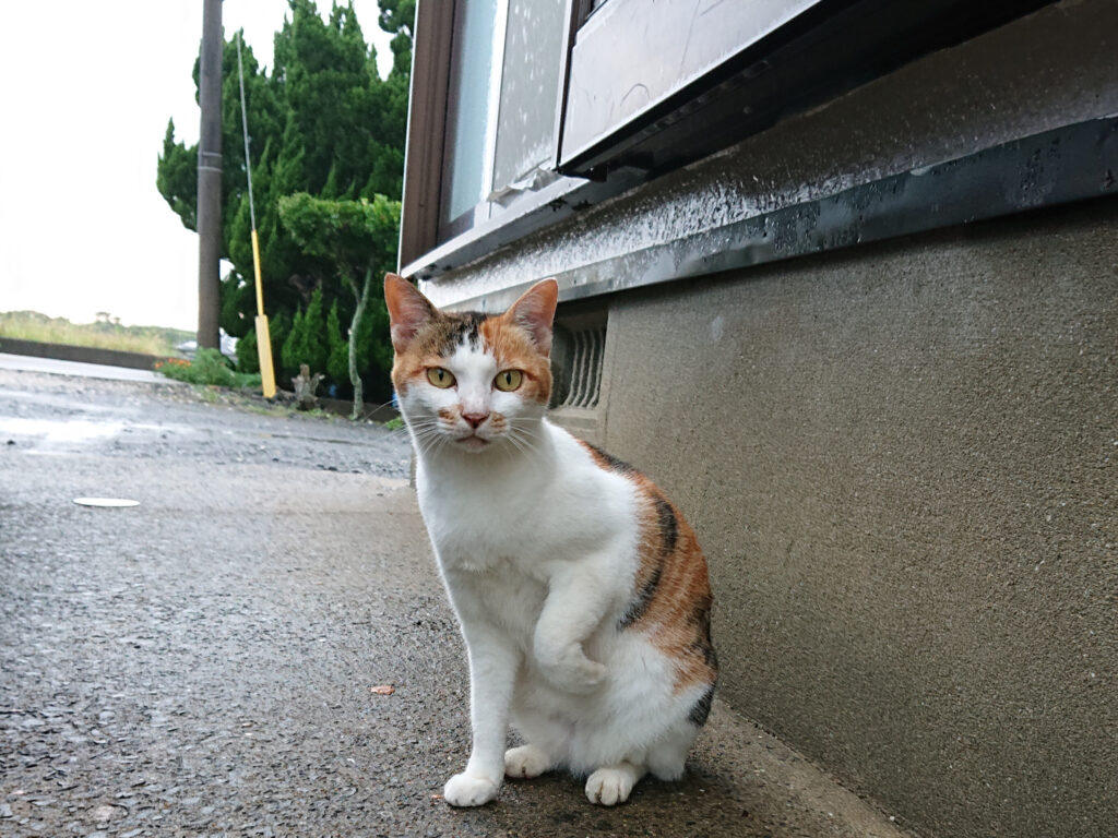 線状降水帯が発生したそうだ