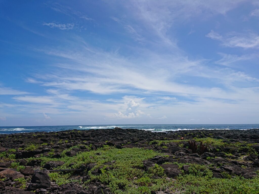 数年ぶりに海に入ってみようかな