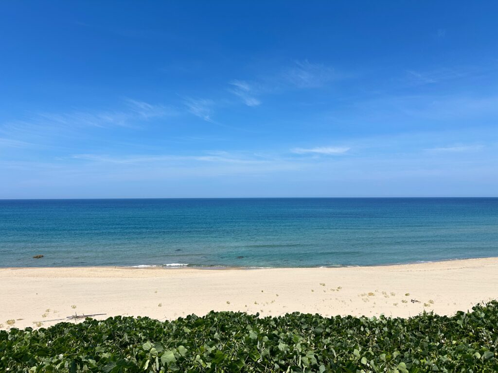 能登にも夏が訪れました