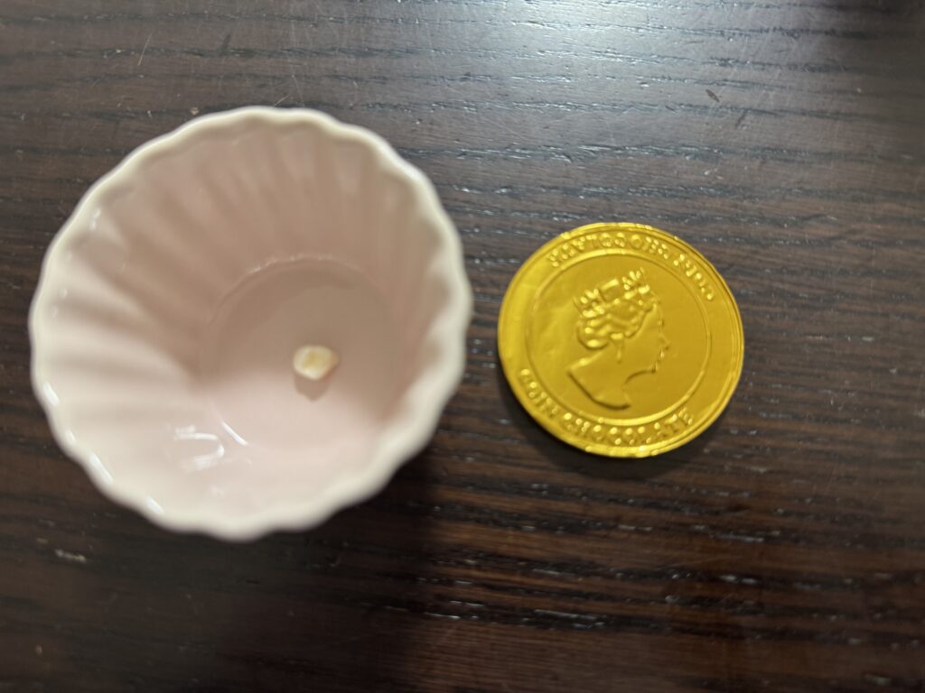 歯の妖精