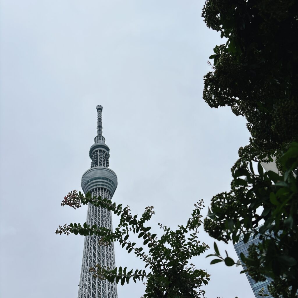 曇天の金曜と女性脳