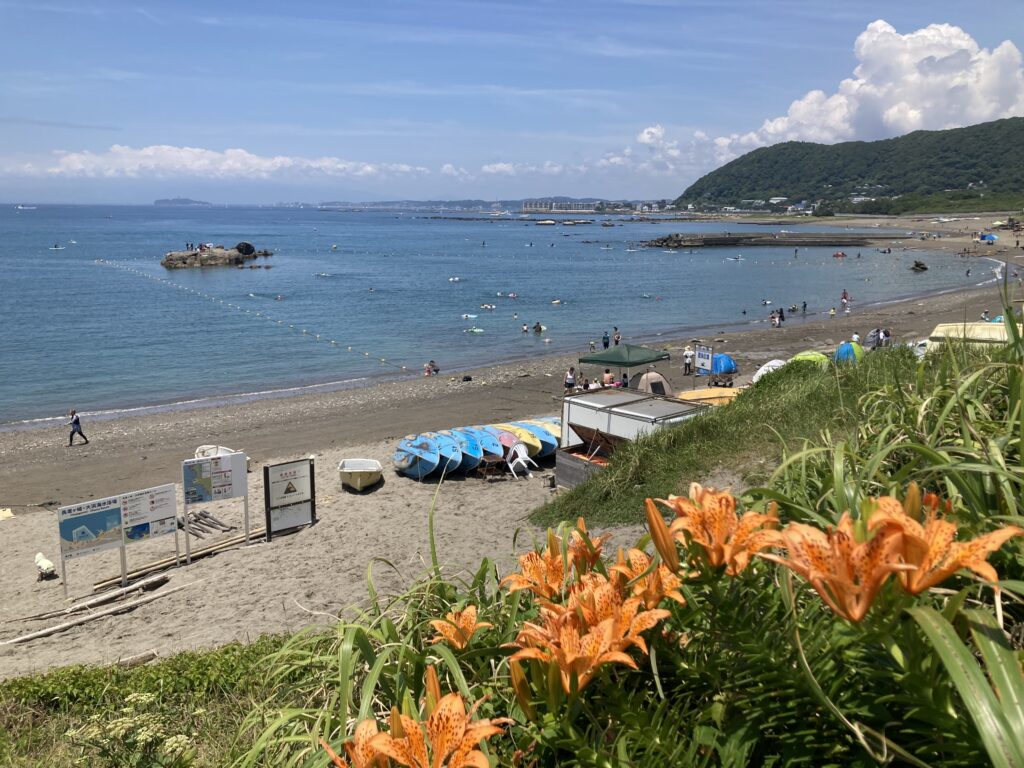 久しぶりに魚を買う
