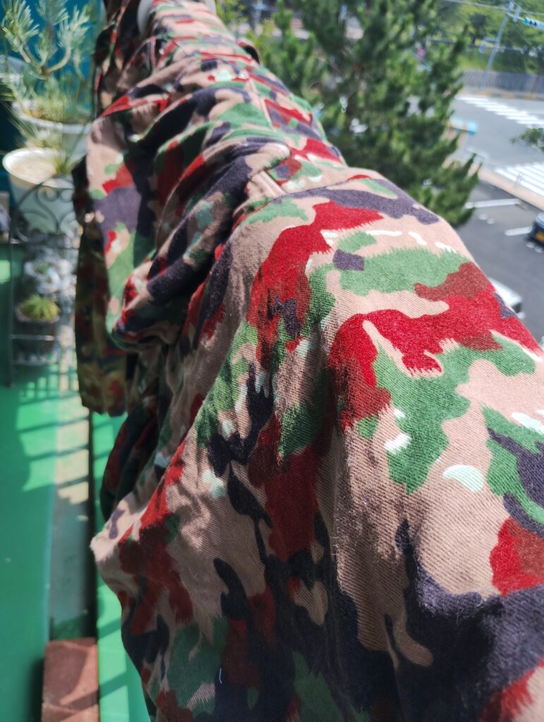 今日はスイス