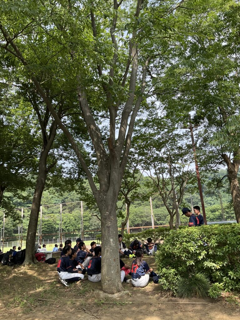 一つの夏の終わり