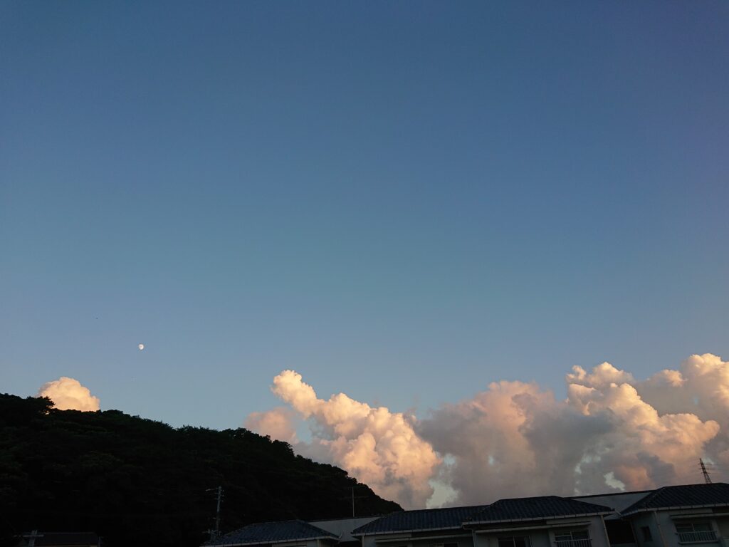 メダカも仲睦まじい関係が築けるらしい衝撃