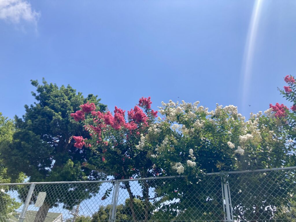 受験生の夏休み