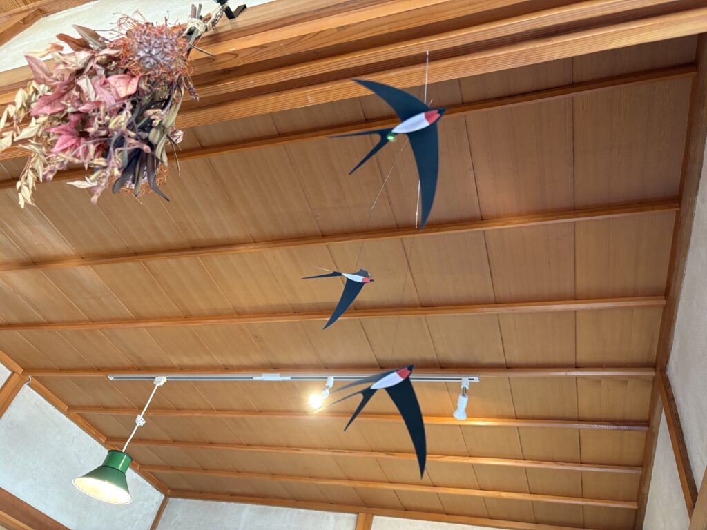 flying swallows
