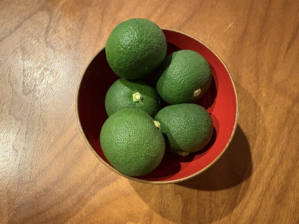 徳島より