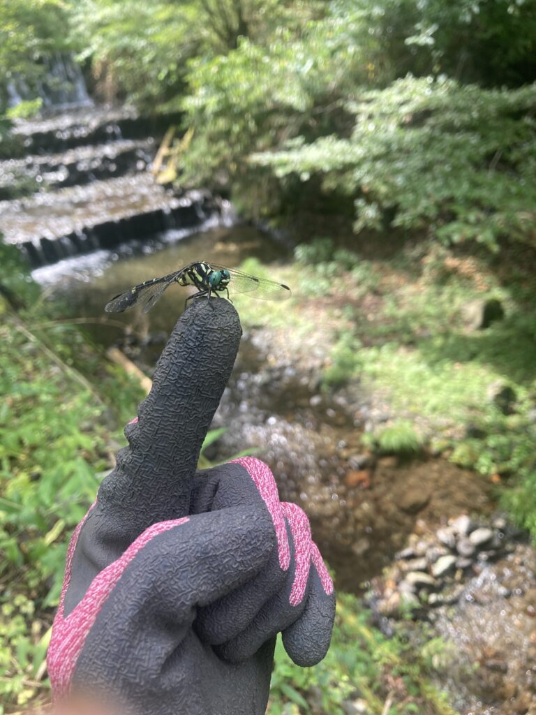 自然の摂理