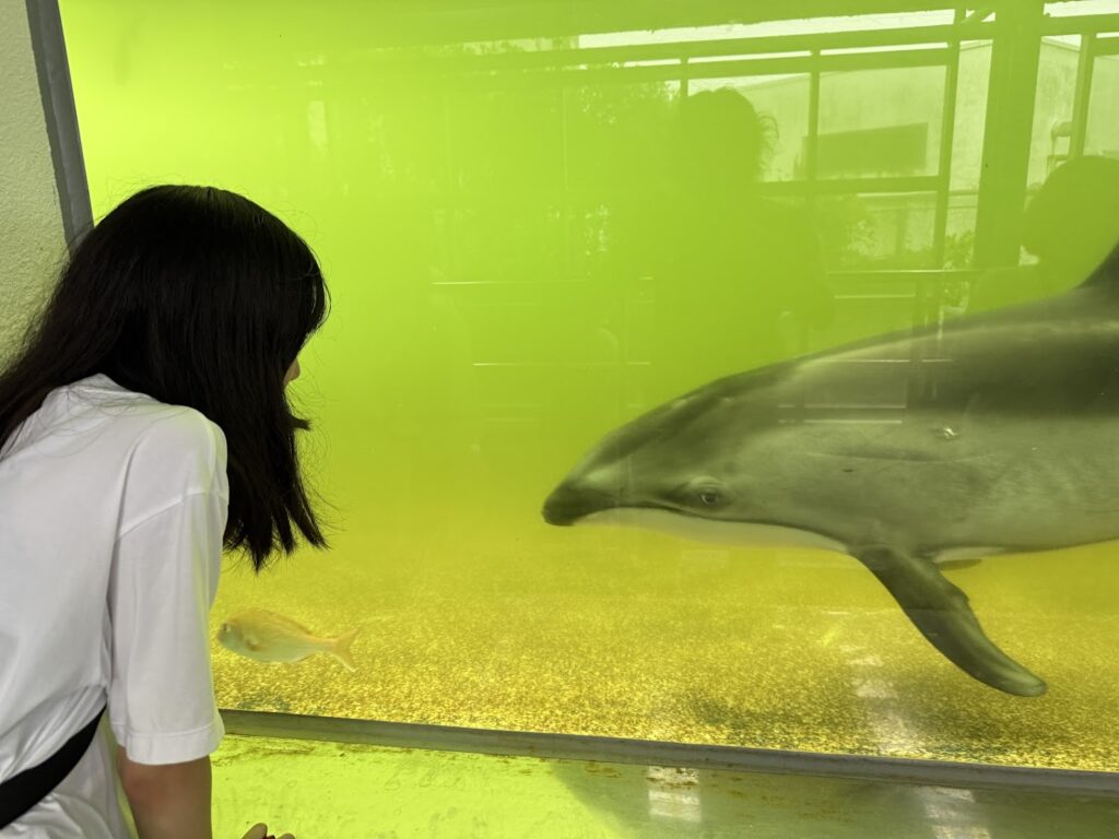 父と娘の夏休み（3日目）