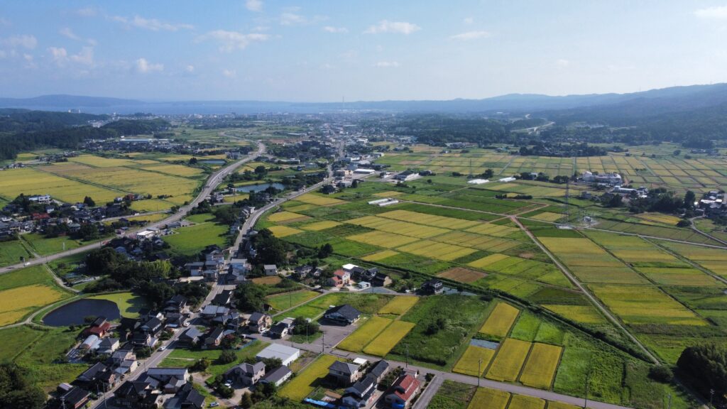 実家での長い1日