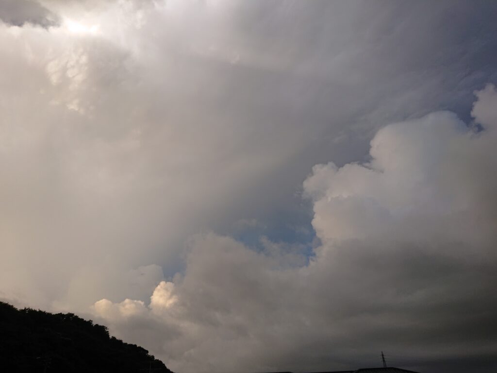 二分の一成人式の歳だもんね。