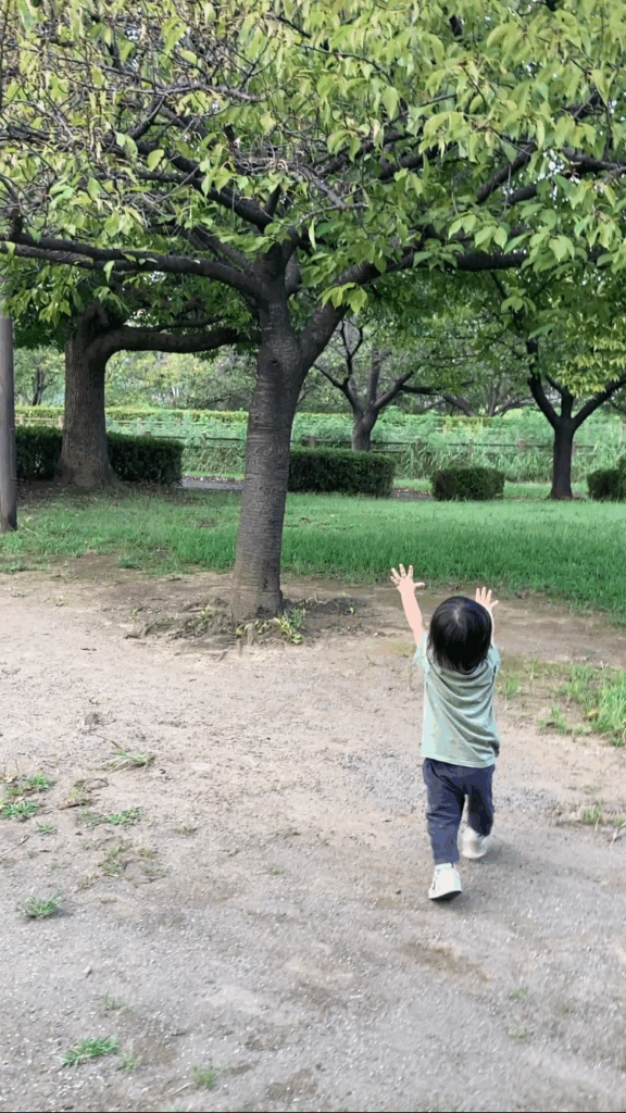 憧