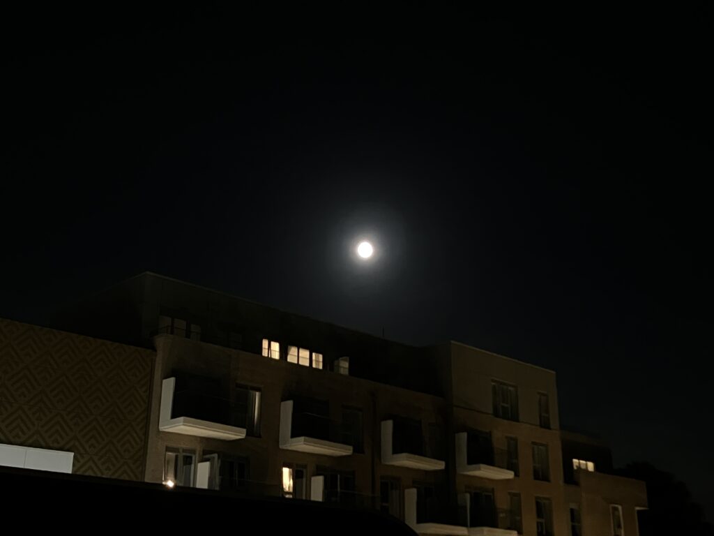 ハーベストムーン🌙
