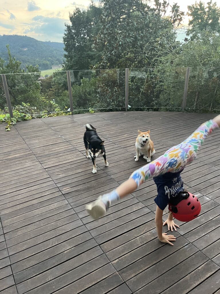 gymnastics