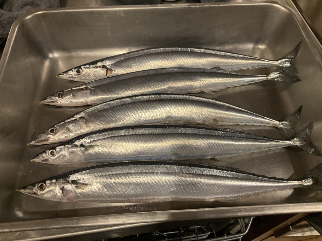 秋刀魚