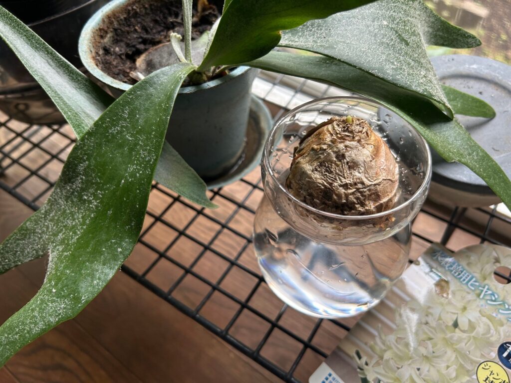 花咲くころは