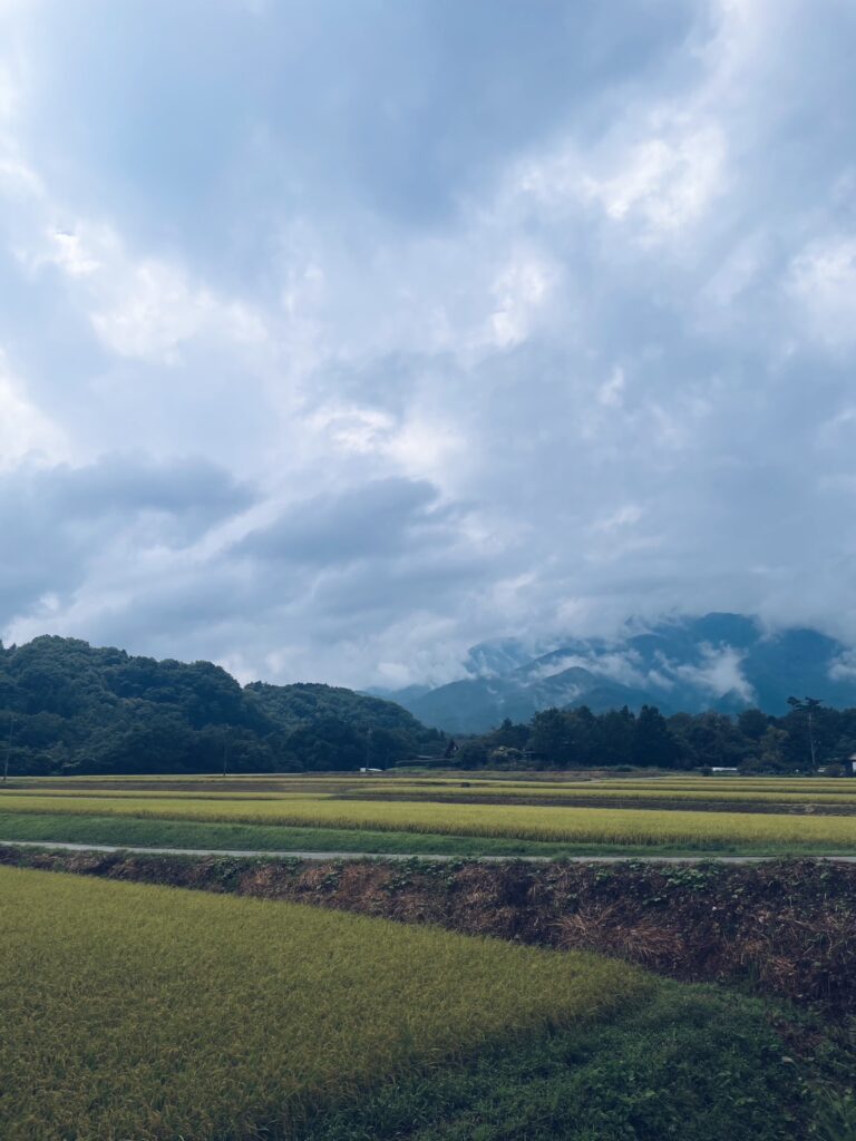 出張の木曜