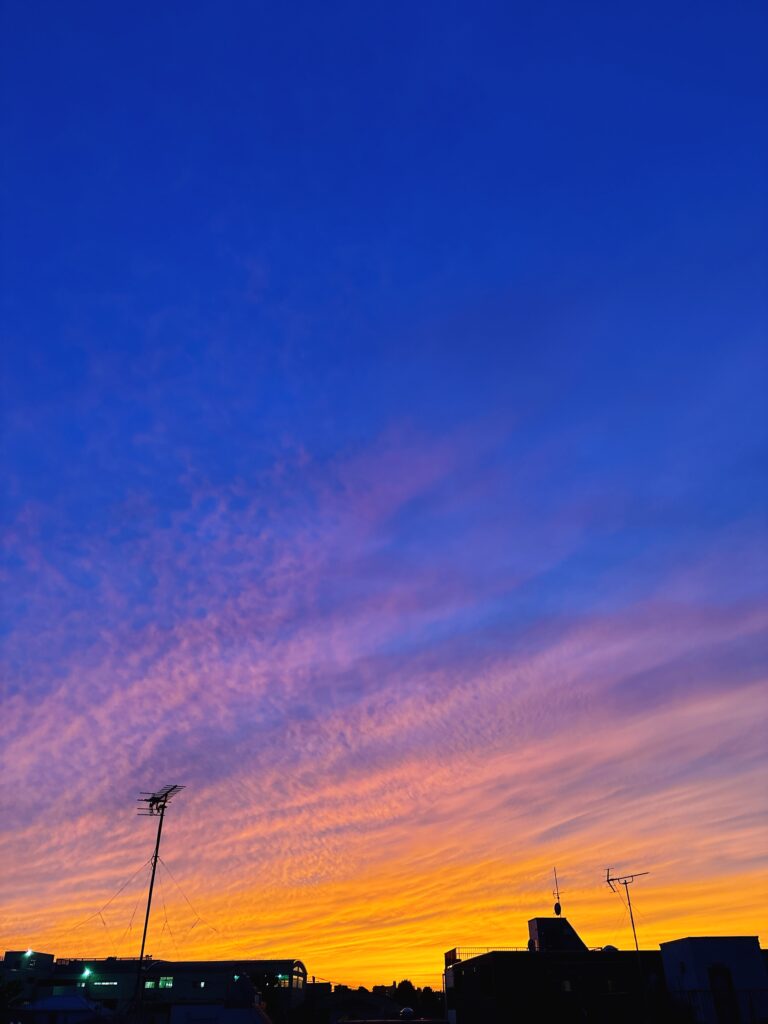 「サヨナラだけが人生さ」と悟る日はまだ少し遠そう