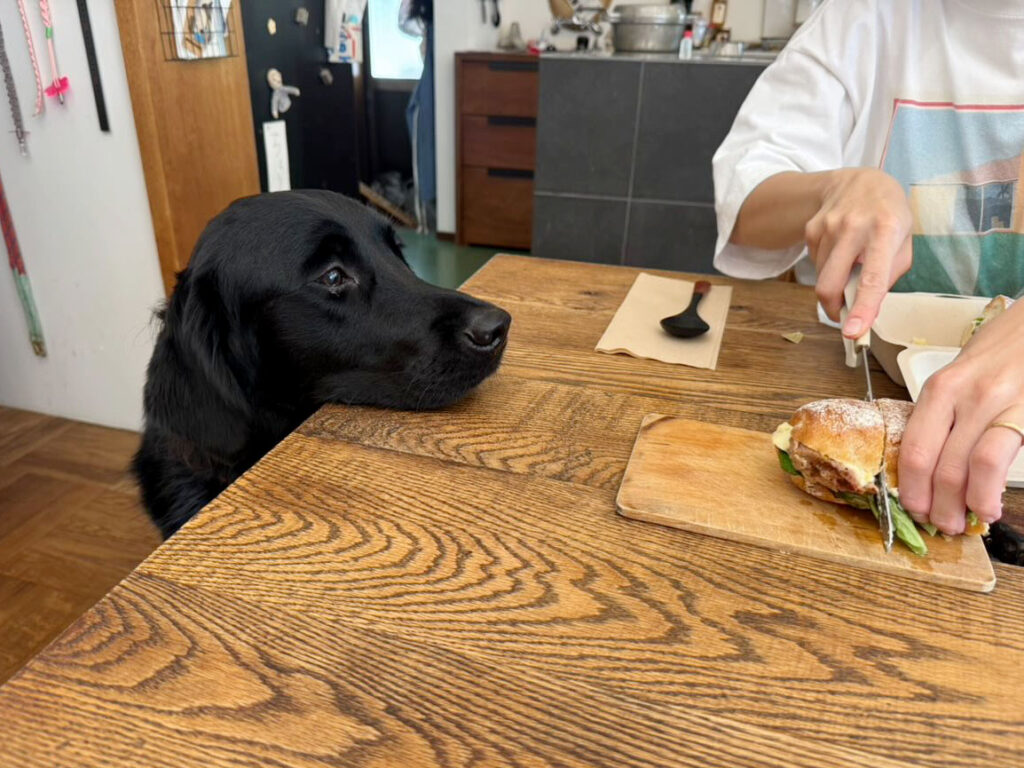 ¥920 今週のサンドイッチ（フードスタンドマガリ）