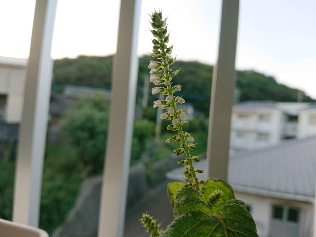 10月