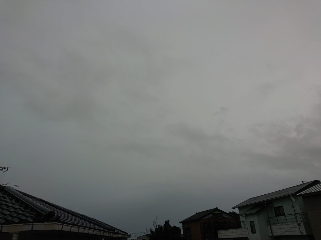 今朝は雨音が大きい