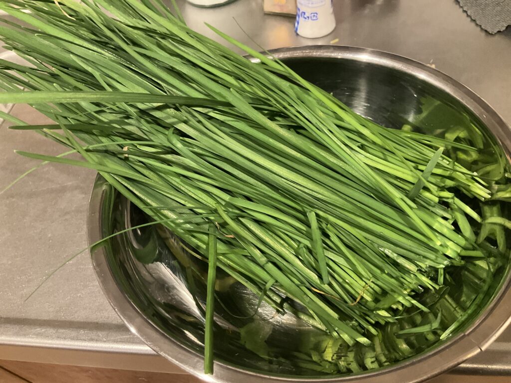 庭のニラを食べる