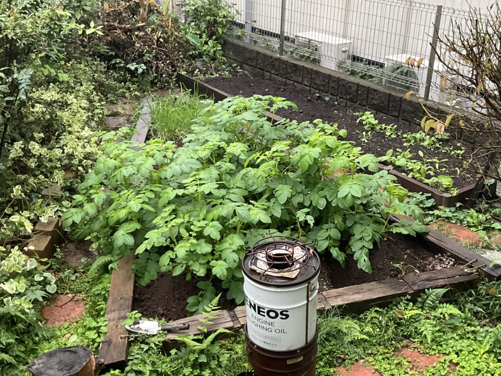 アイマサリ