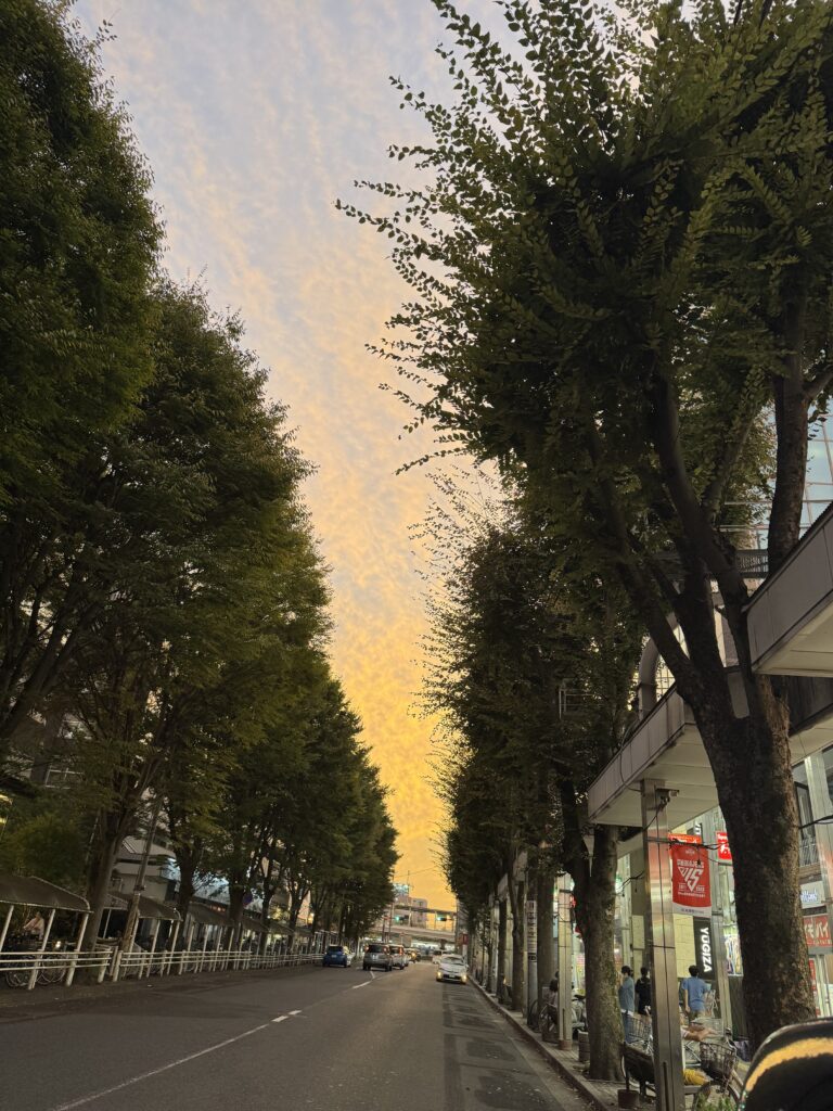 不甲斐ない