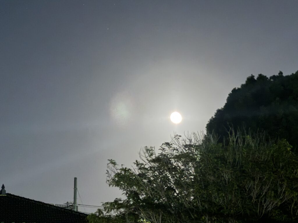 全力で走る