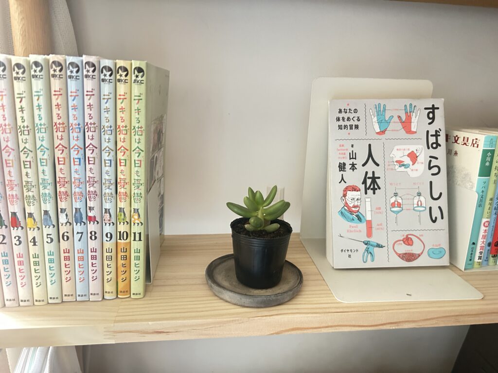 新入りさん
