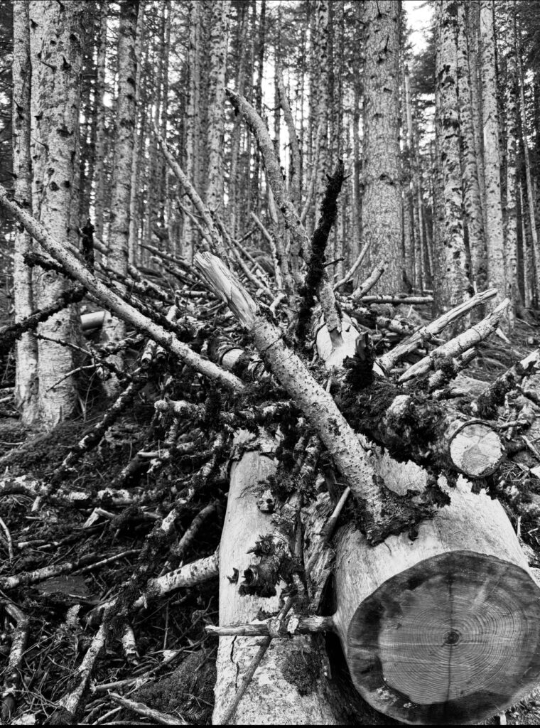 Fracturado