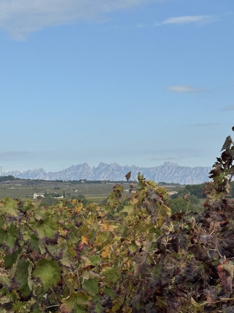 Ruta de otoño