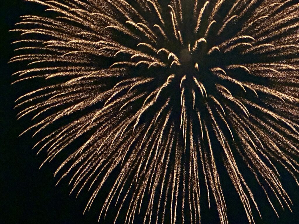 のびやかでたおやかな木々を都市化