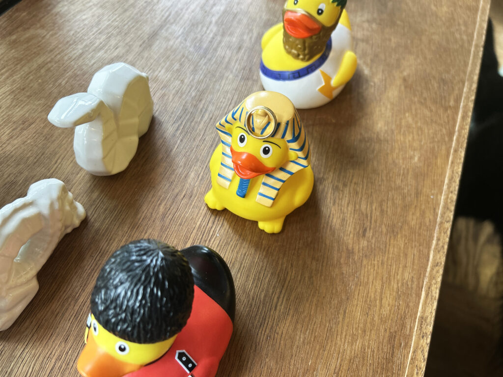 3 for £20 DUCKs