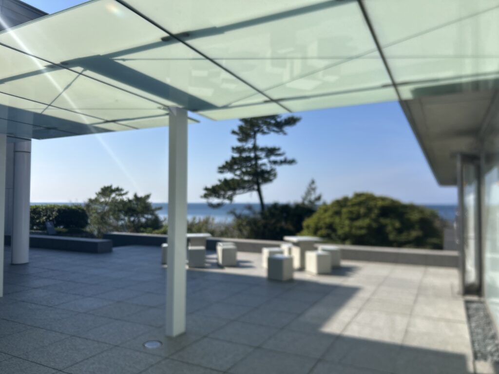 ¥1,200 上田義彦From the Hip（神奈川県立近代美術館 葉山）