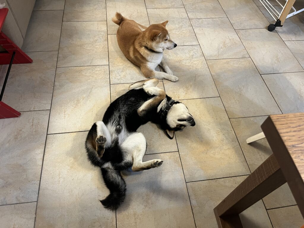 Luna and the lighthearted Sole